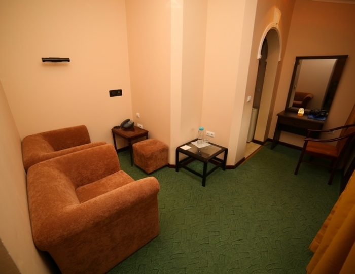 Стандарт 1-местный (корпус 6) без балкона - Санаторий «Красноусольск» Курорта